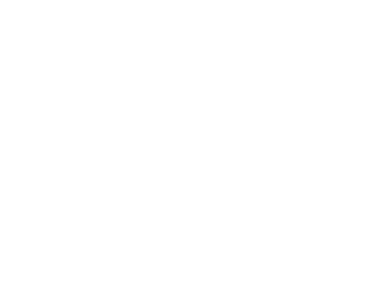 Dressurfestival Hof Norwegen, Logo, Chrissi VE Fotografie